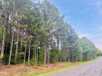 Tbd Alston Horton Service Rd Lot 1, Pittsboro, NC 27312