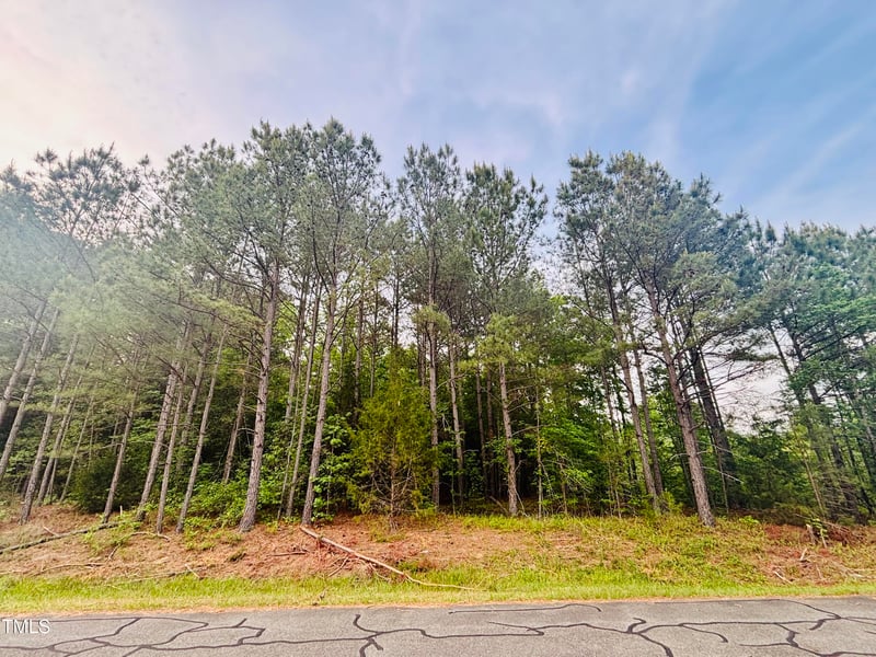 Tbd Alston Horton Service Rd, Pittsboro, NC 27312