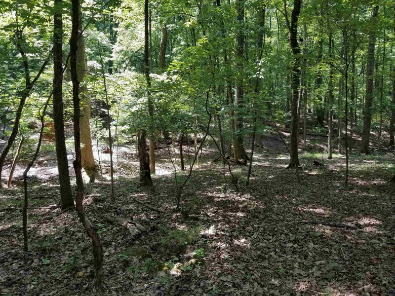TBD Beaver Dam Rd Lot O2-110-, Chapel Hill, NC 27517