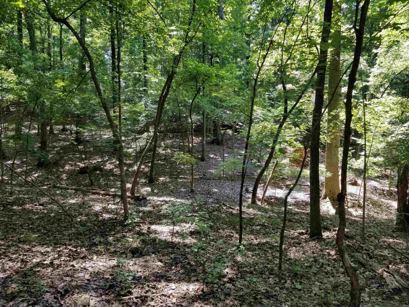 TBD Beaver Dam Rd Lot O2-110-, Chapel Hill, NC 27517