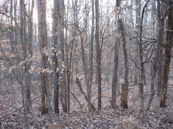 Tbd Creek Point Pl, Graham, NC 27253