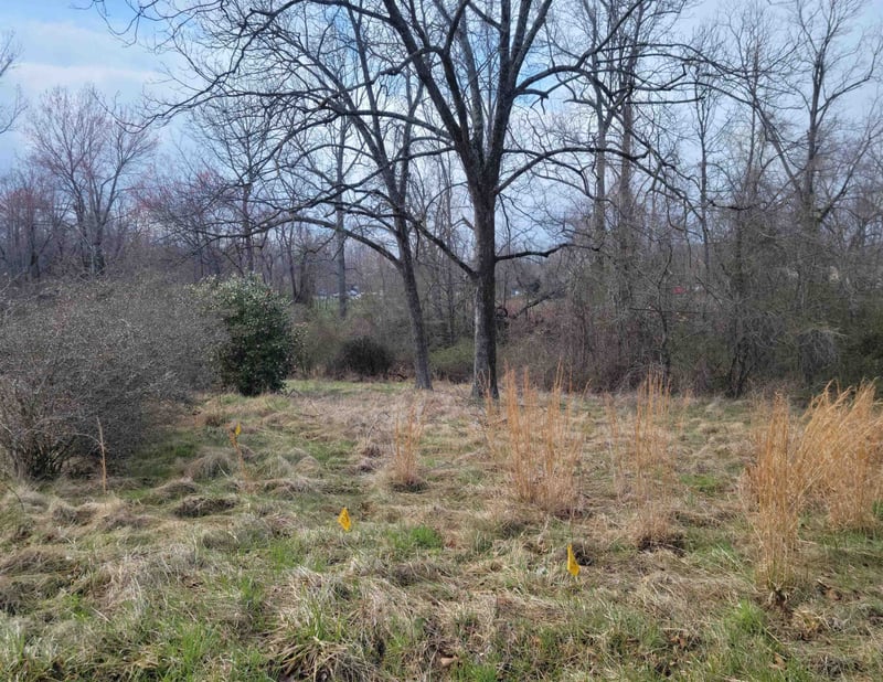 Tbd Durham Rd, Roxboro, NC 27573