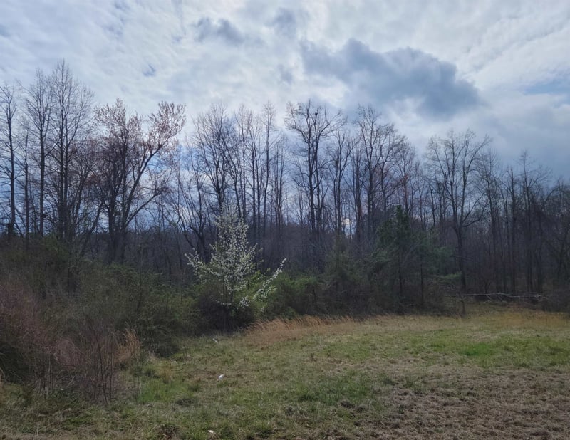 Tbd Durham Rd, Roxboro, NC 27573