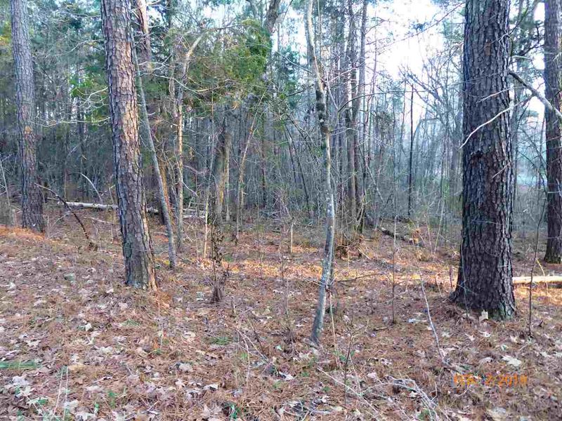 TBD Ferguson Rd Lot 2 and 6C, Chapel Hill, NC 27516