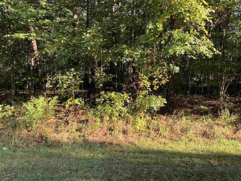 TBD Fox Crossing Dr Lot 2, Roxboro, NC 27574