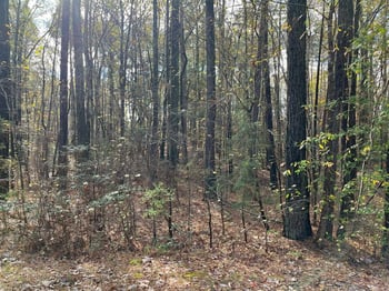 TBD Foxfire Dr Lot 36, Chapel Hill, NC 27516