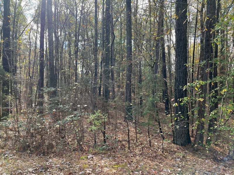 TBD Foxfire Dr Lot 36, Chapel Hill, NC 27516