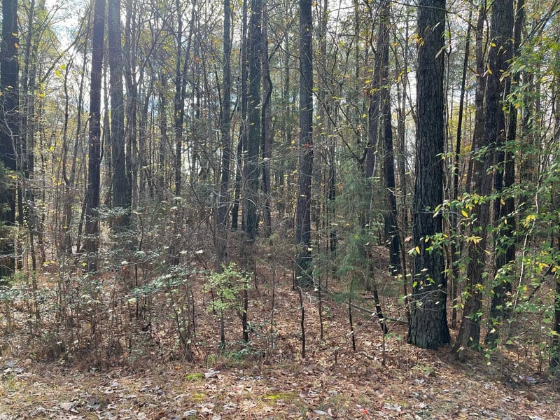 TBD Foxfire Dr Lot 36, Chapel Hill, NC 27516