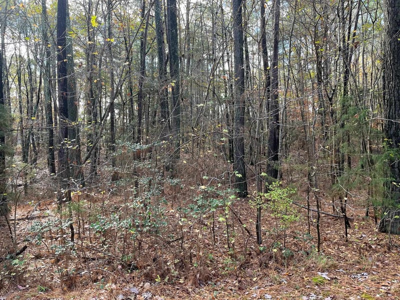 TBD Foxfire Dr Lot 36, Chapel Hill, NC 27516