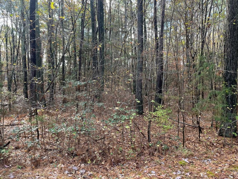 TBD Foxfire Dr Lot 36, Chapel Hill, NC 27516