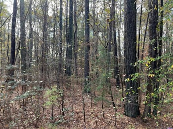 TBD Foxfire Dr Lot 36, Chapel Hill, NC 27516