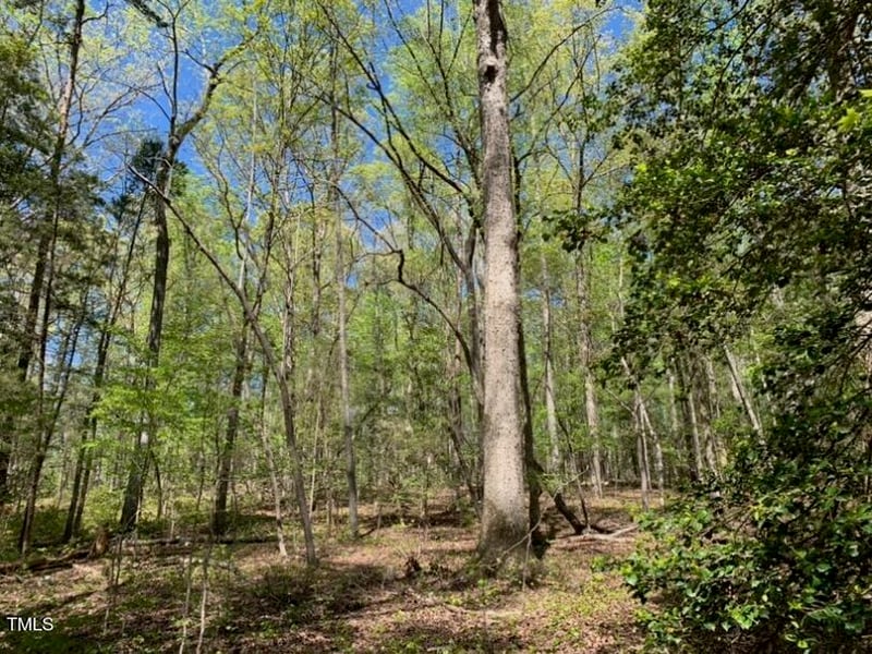 Tbd Hamlets Chapel Rd Lot 1, Pittsboro, NC 27312