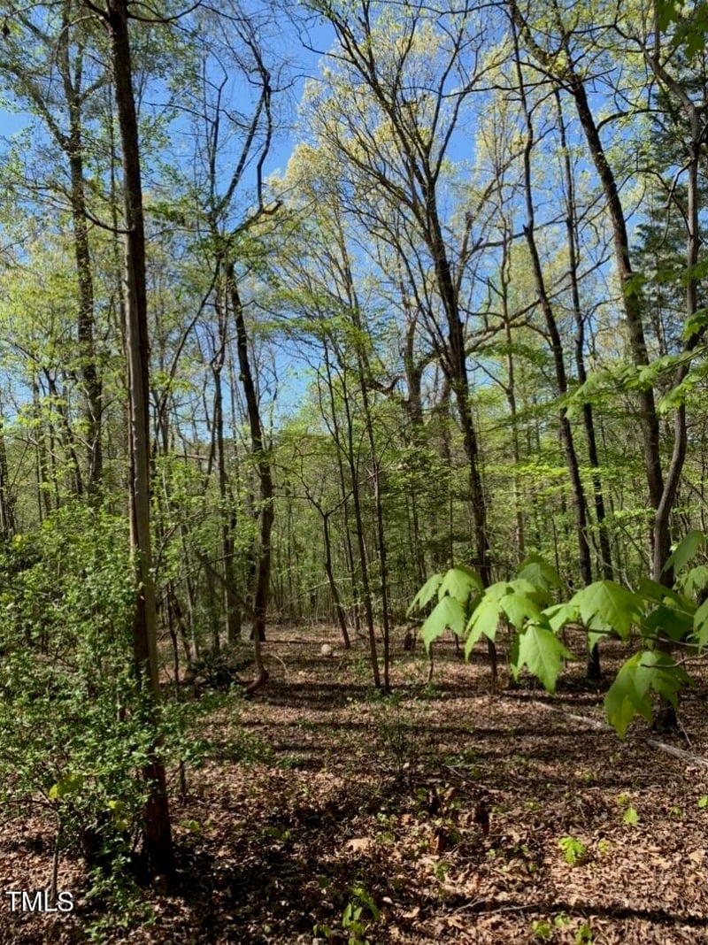 Tbd Hamlets Chapel Rd Lot 1, Pittsboro, NC 27312