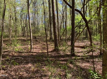Tbd Hamlets Chapel Rd Lot 1, Pittsboro, NC 27312