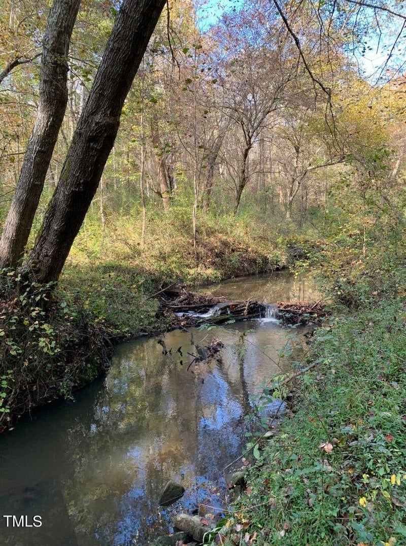 Tbd Hamlets Chapel Rd Lot 1, Pittsboro, NC 27312