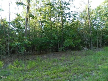 Tbd Hatley Hatley Rd Lot 7, Pittsboro, NC 27312