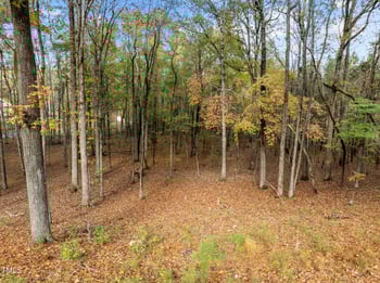 Tbd Hudson Hills, Pittsboro, NC 27312