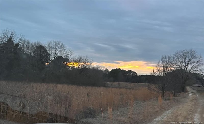 TBD Hwy 87/ Broadway Rd, Sanford, NC 27330