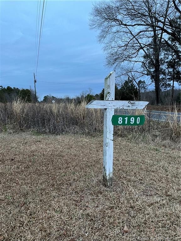 TBD Hwy 87/ Broadway Rd, Sanford, NC 27330