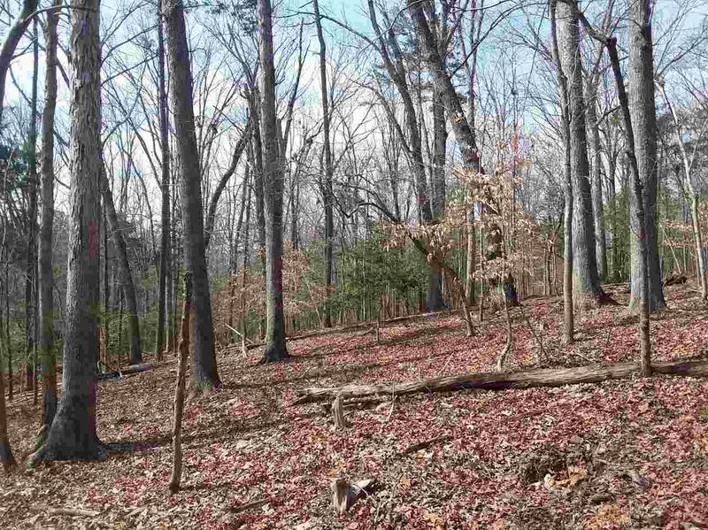 TBD Indian Orchard Rd Lot 11B, Pittsboro, NC 27312