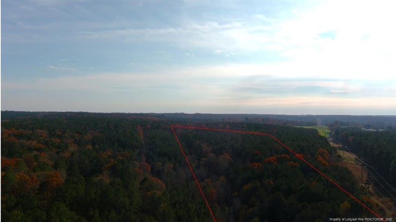 TBD Lick Creek Rd, Sanford, NC 27330