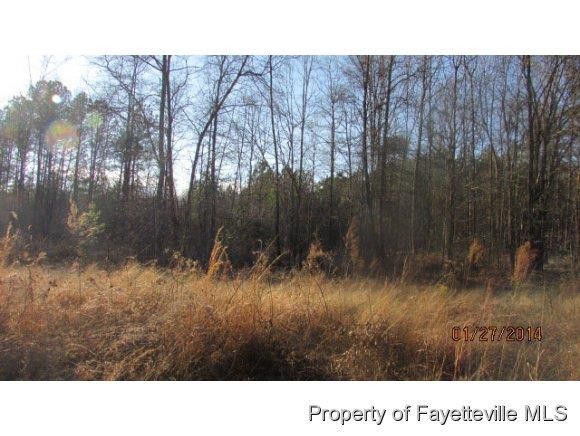 TBD Lower Moncure R Rd, Sanford, NC 27330