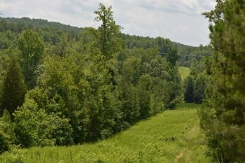 TBD Manns Chapel Rd Lot 1-4, Pittsboro, NC 27312