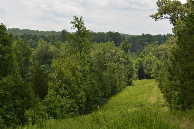 TBD Manns Chapel Rd Lot 1-4, Pittsboro, NC 27312
