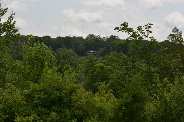 TBD Manns Chapel Rd Lot 1-4, Pittsboro, NC 27312