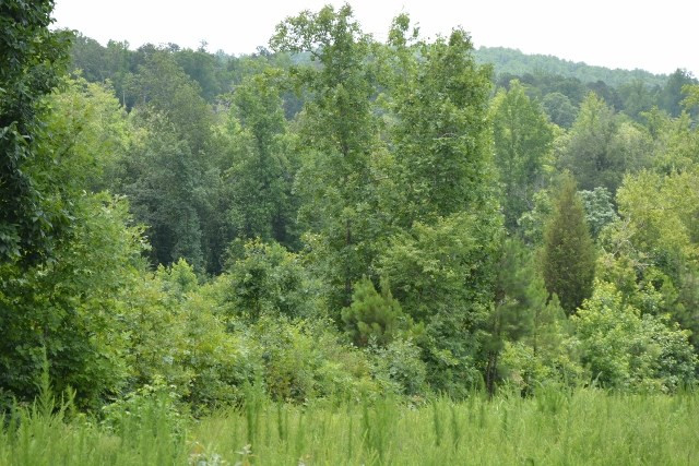 TBD Manns Chapel Rd Lot 1-4, Pittsboro, NC 27312