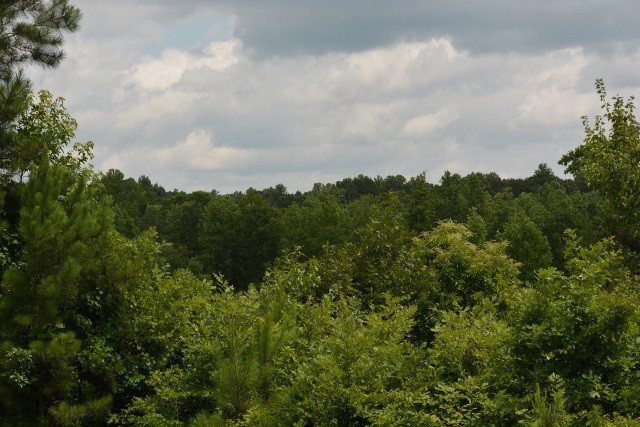 TBD Manns Chapel Rd Lot 1-4, Pittsboro, NC 27312