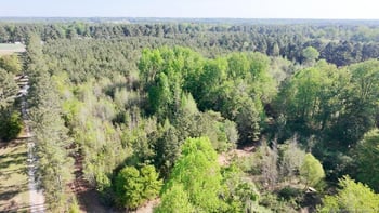 tbd Nc 27 , Lillington, NC 27546
