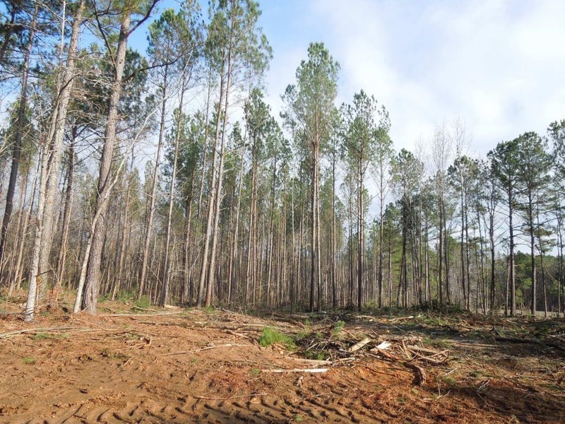 TBD Nc 96 Hw Lot na, Franklinton, NC 27525
