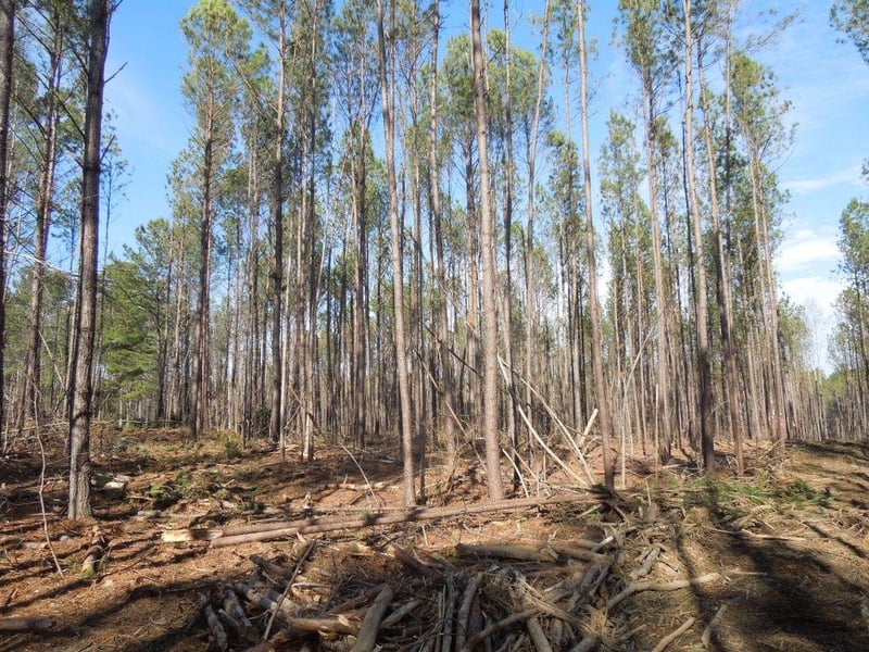 TBD Nc 96 Hw Lot na, Franklinton, NC 27525