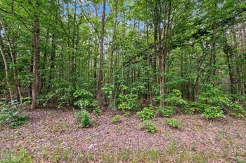 Tbd Neville Rd, Chapel Hill, NC 27516