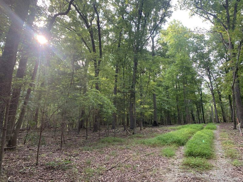 TBD New Hope Tc Lot 2, Chapel Hill, NC 27516