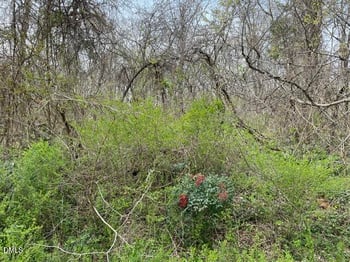 Tbd Old Walker Mill Rd, Randleman, NC 27317