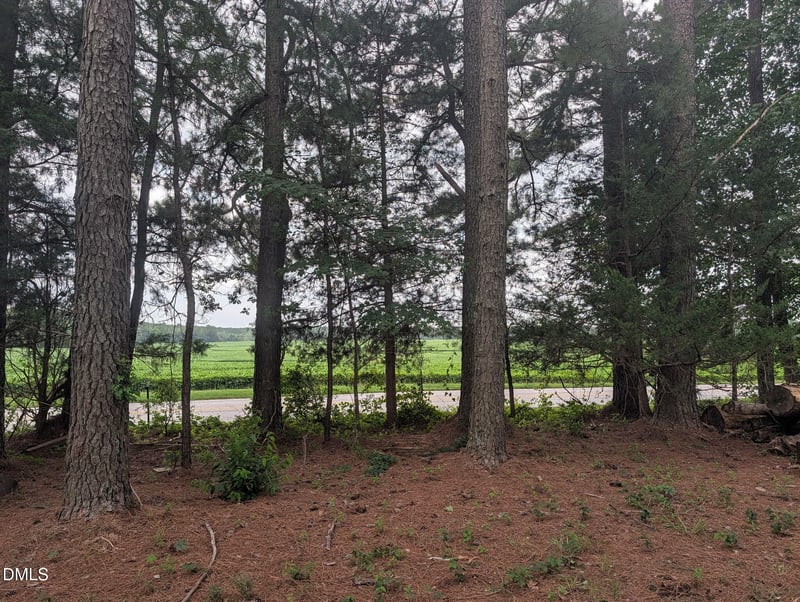 Tbd Peach Orchard Rd Lot 3B, Louisburg, NC 27549