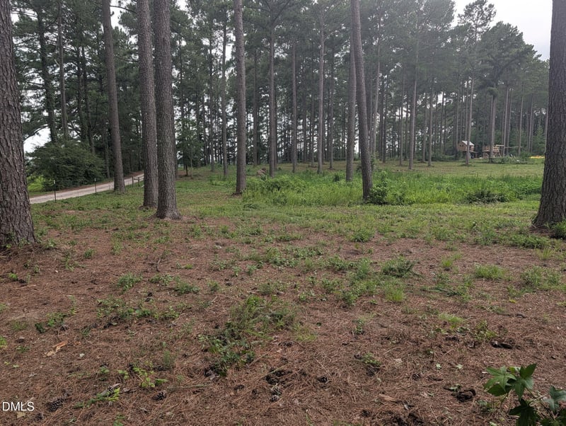 Tbd Peach Orchard Rd Lot 3B, Louisburg, NC 27549