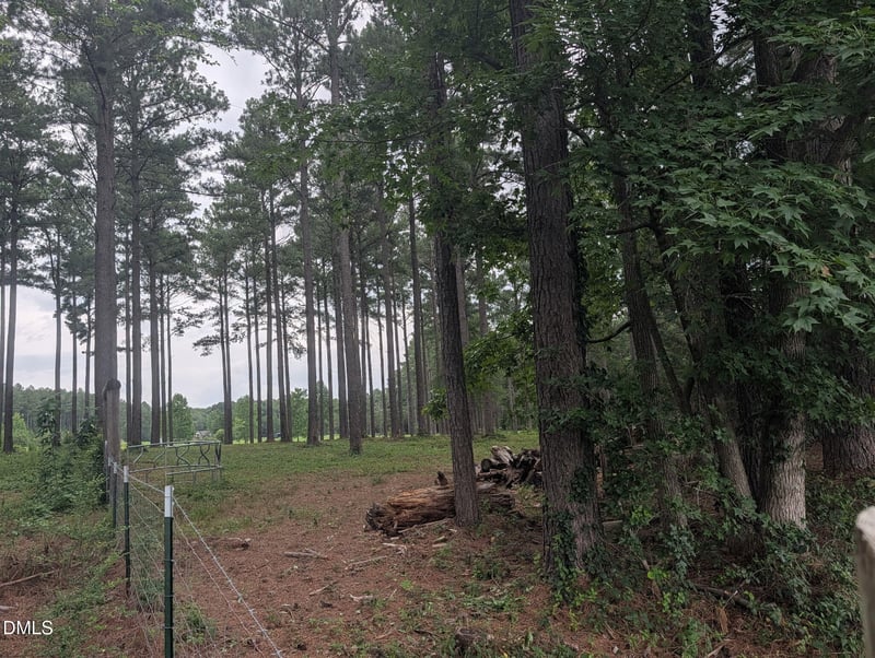 Tbd Peach Orchard Rd Lot 3B, Louisburg, NC 27549