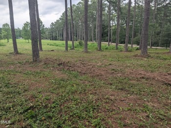 Tbd Peach Orchard Rd Lot 3B, Louisburg, NC 27549