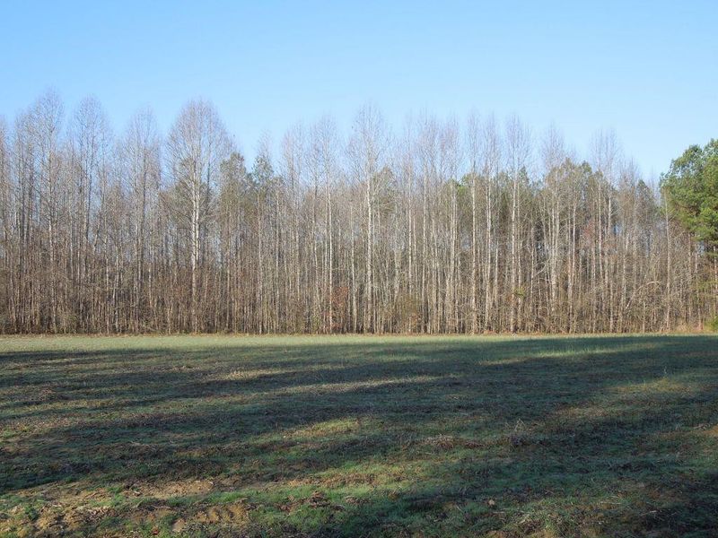 TBD Philo White Rd Lot na, Franklinton, NC 27525