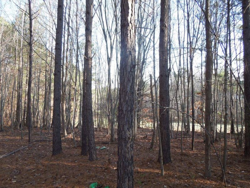 TBD Philo White Rd Lot na, Franklinton, NC 27525