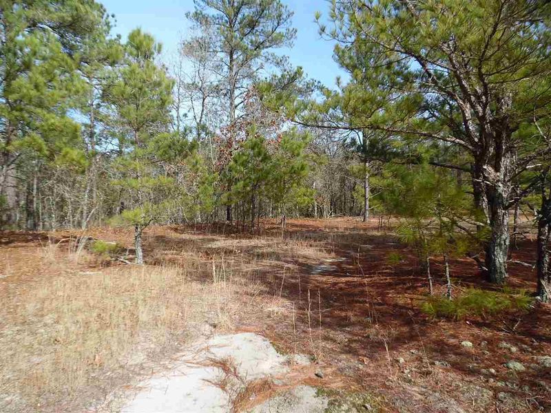 TBD Roberts Rd Lot 1, Sanford, NC 27332