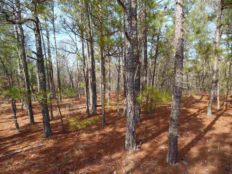 TBD Roberts Rd Lot 1, Sanford, NC 27332