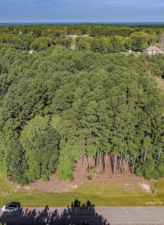 TBD Saintsbury Pl, Sanford, NC 27332