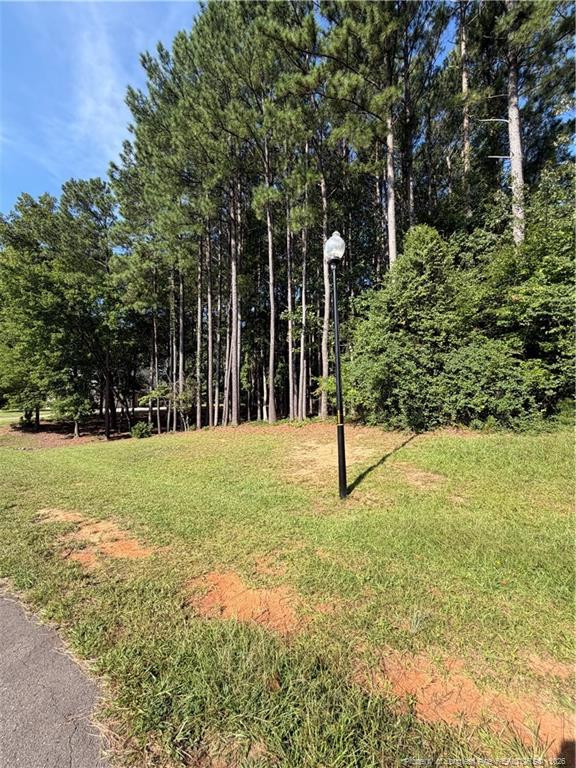 TBD Saintsbury Pl, Sanford, NC 27332