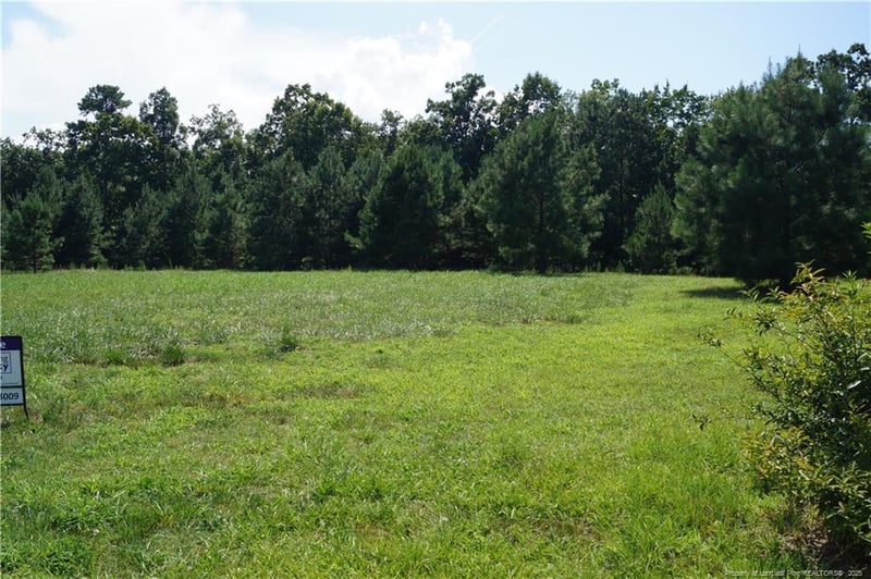 TBD Scenic Dr, Sanford, NC 27330
