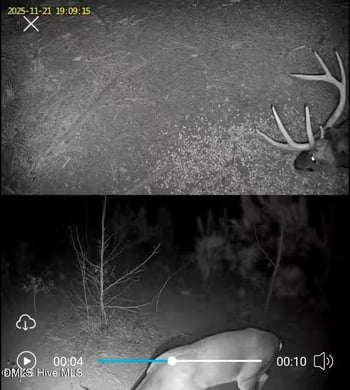 Tbd Scholl Rd, Hamlet, NC 28345