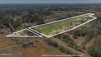 Tbd Scholl Rd, Hamlet, NC 28345